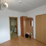 Pensiunea Elena *