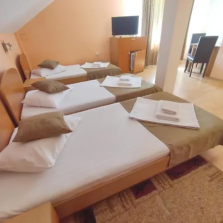 Pensiunea Elena Bed and breakfast *