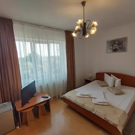 Pensiunea Elena Timisoara