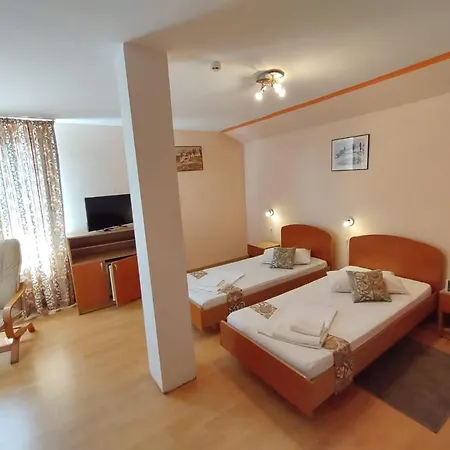 Bed and breakfast Pensiunea Elena *
