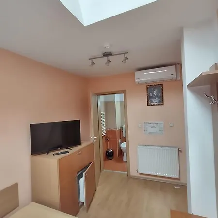Bed & Breakfast Pensiunea Elena Timisoara