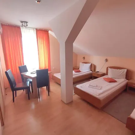 Pensiunea Elena Bed and breakfast Timisoara