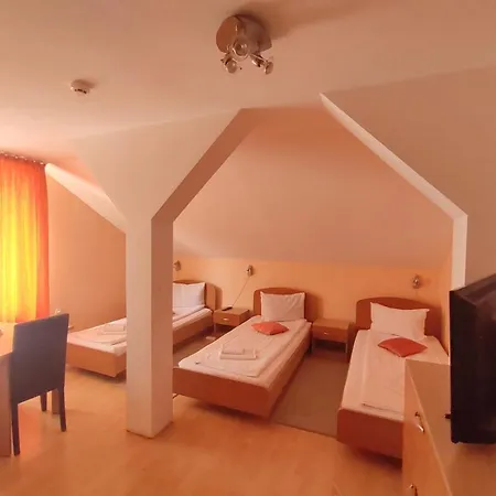 Pensiunea Elena Timişoara