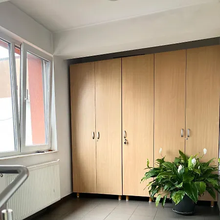 Bed and breakfast Pensiunea Elena *