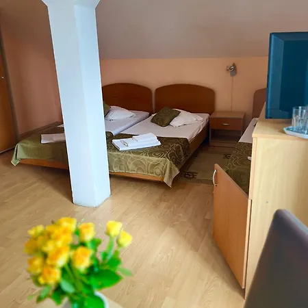 Pensiunea Elena * Timisoara