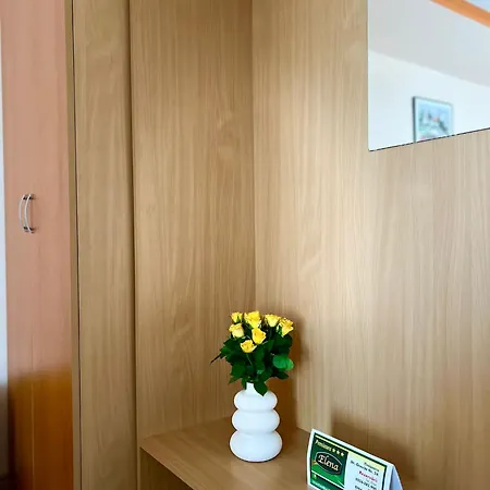 Pensiunea Elena Bed and breakfast