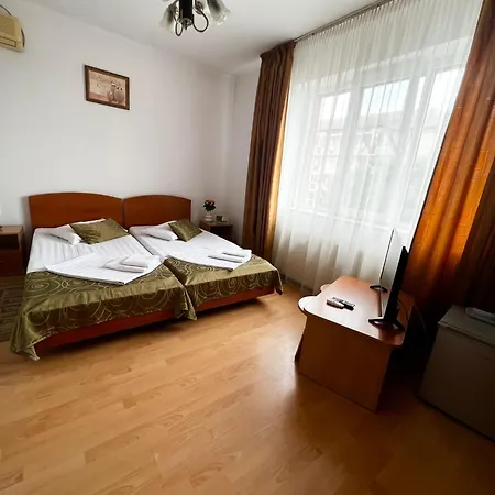 Bed and breakfast Pensiunea Elena Timisoara