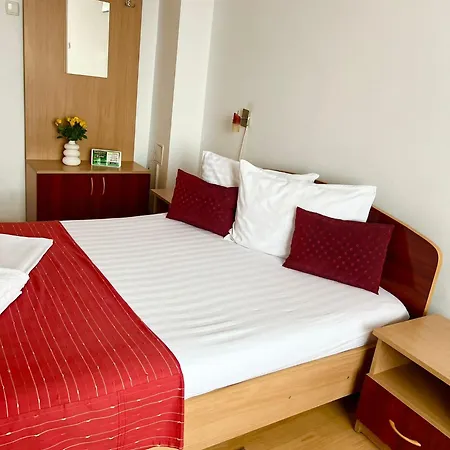 Pensiunea Elena * Timişoara