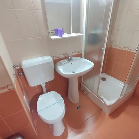 B&B Pensiunea Elena Timişoara