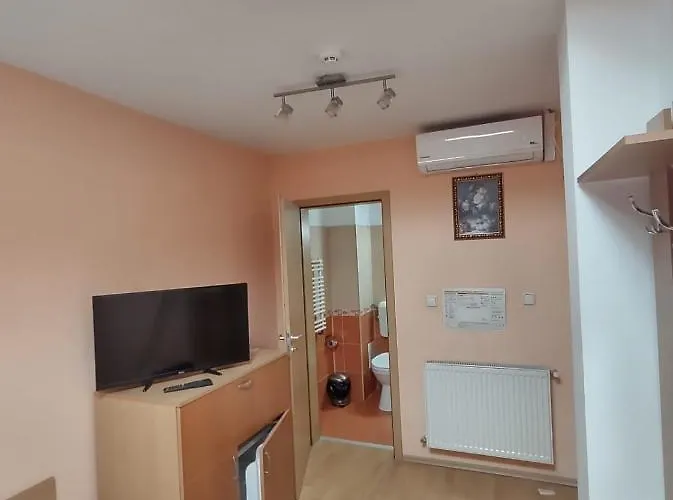 Bed & Breakfast Pensiunea Elena Temešvár