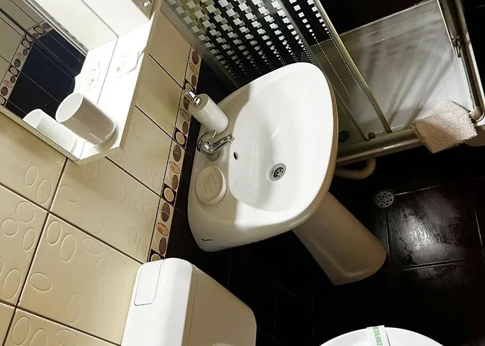 Pensiunea Elena * Temešvár