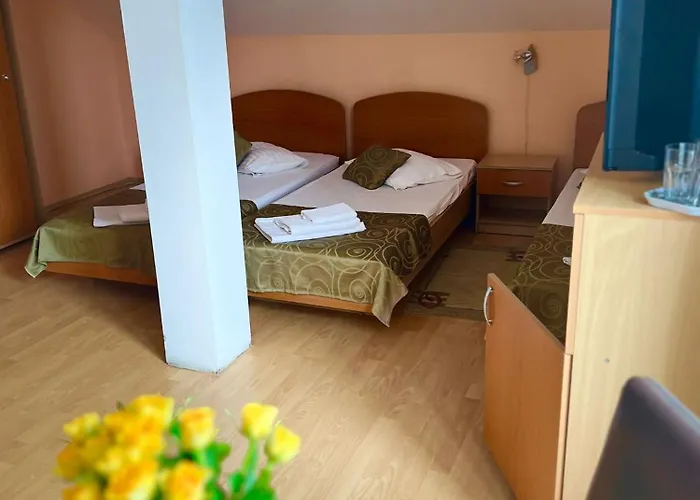 Pensiunea Elena * Temešvár