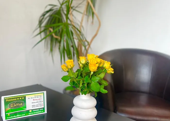 Pensiunea Elena Bed & Breakfast