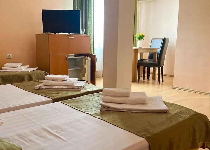 Pensiunea Elena Temešvár