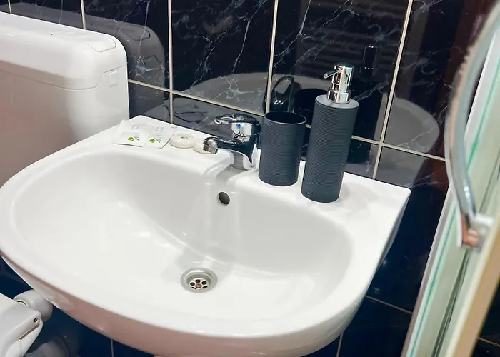 לינה וארוחת בוקר Pensiunea Elena *