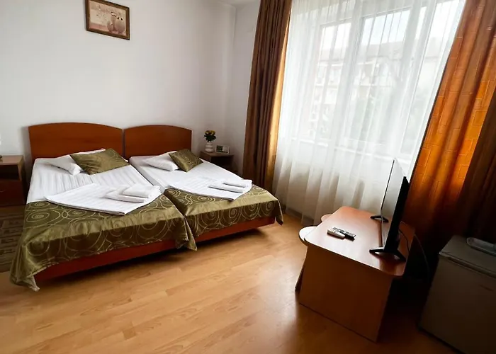 Bed & Breakfast Pensiunea Elena Temešvár