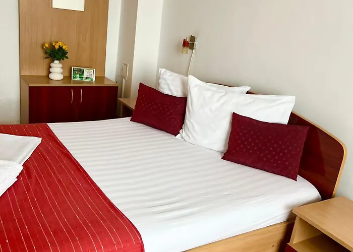 Pensiunea Elena * Temešvár