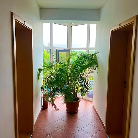 Pensiunea Elena Bed & Breakfast Timişoara