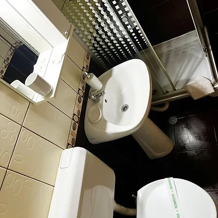 Pensiunea Elena * Timişoara