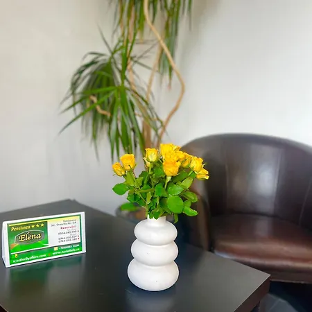 Pensiunea Elena Bed & Breakfast