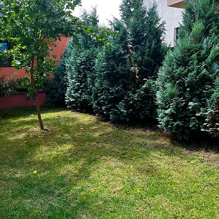 Oda ve Kahvaltı Pensiunea Elena *