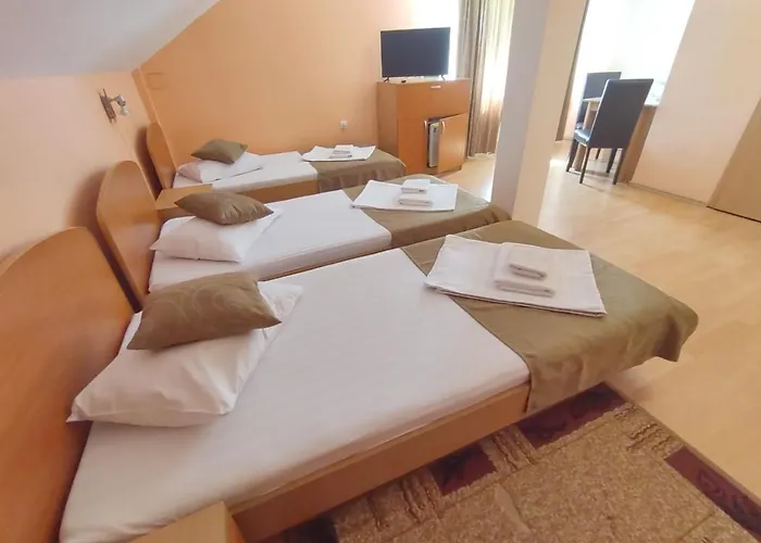 Pensiunea Elena Bed & Breakfast *