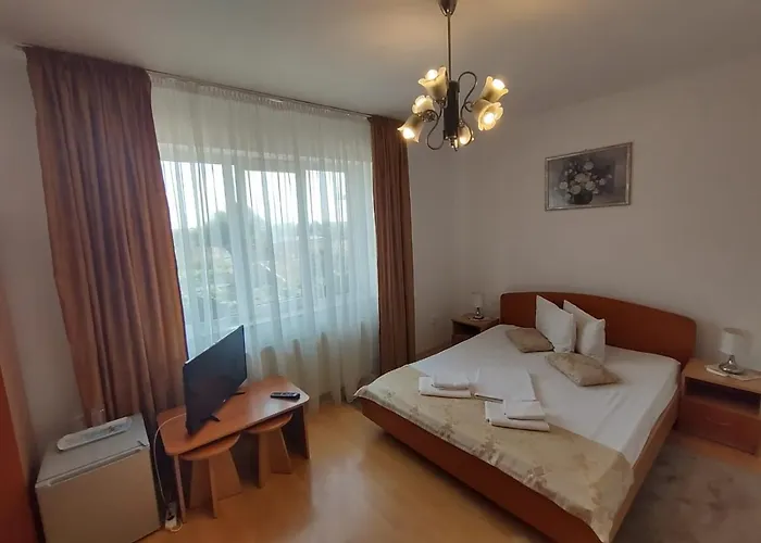 Pensiunea Elena Timişoara