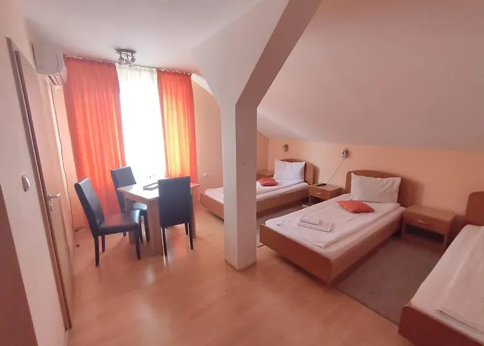 Pensiunea Elena Bed & Breakfast Timişoara