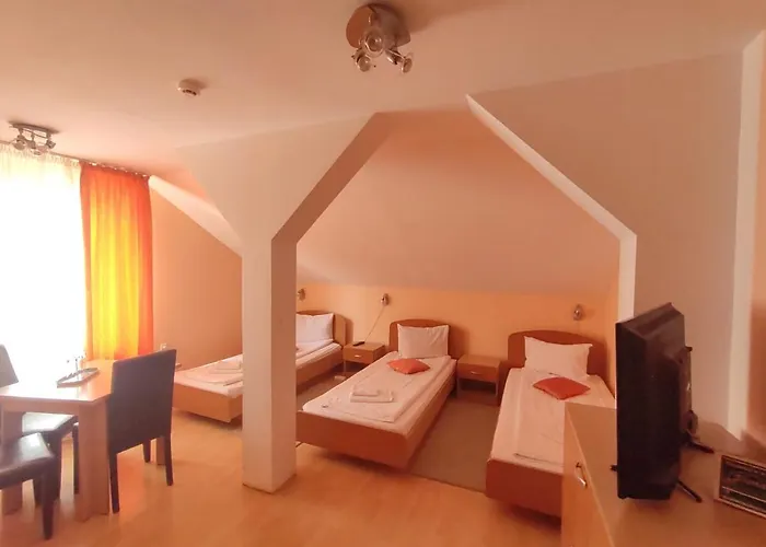 Pensiunea Elena Timişoara