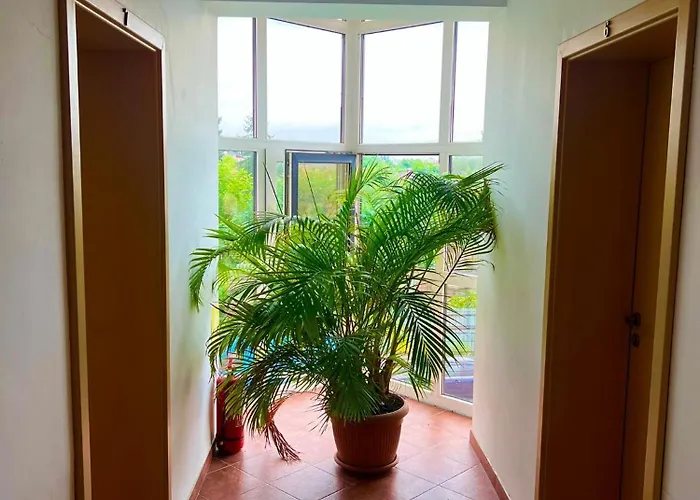 Pensiunea Elena Bed & Breakfast Timişoara