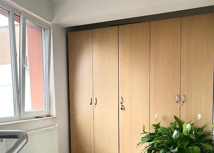 Bed & Breakfast Pensiunea Elena *