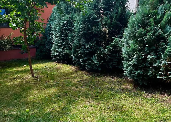 Bed & Breakfast Pensiunea Elena *